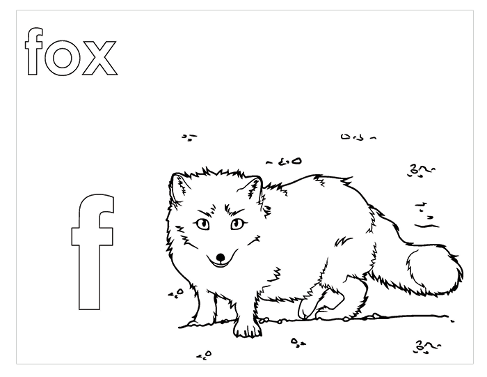 Activity Book