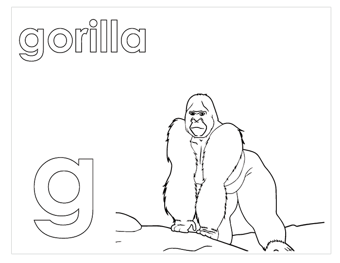 Activity Book