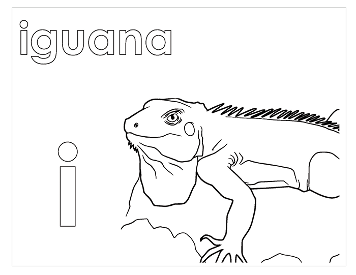 B - Activity Book