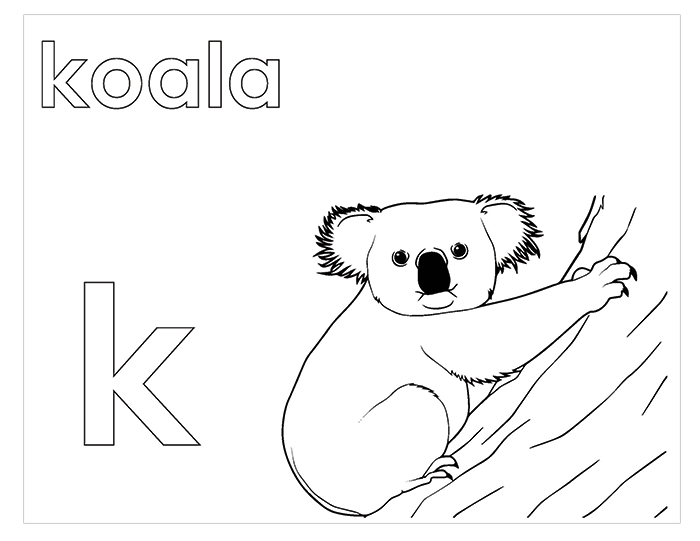 Activity Book