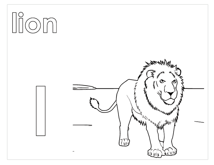 Activity Book