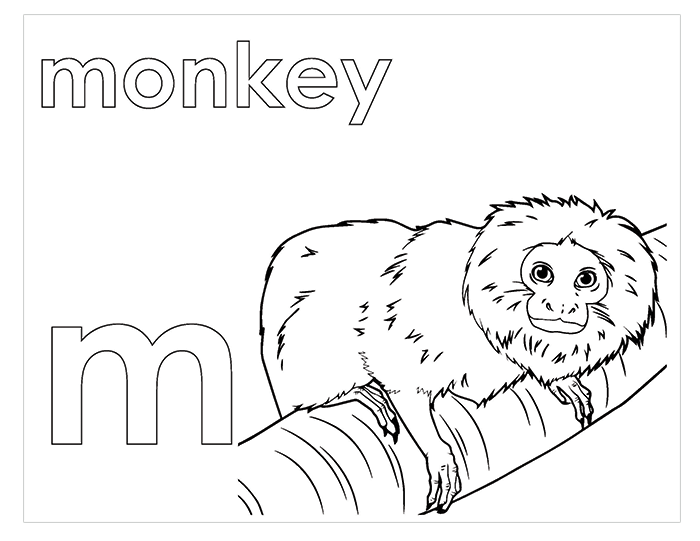 M - Activity Book