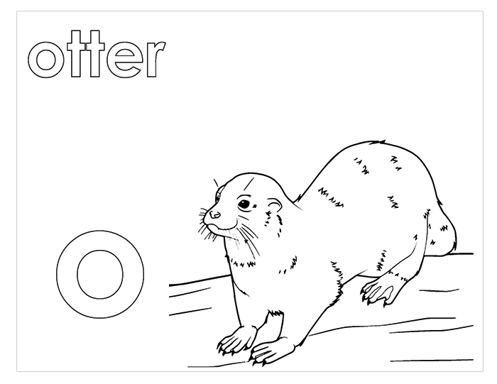 Activity Book