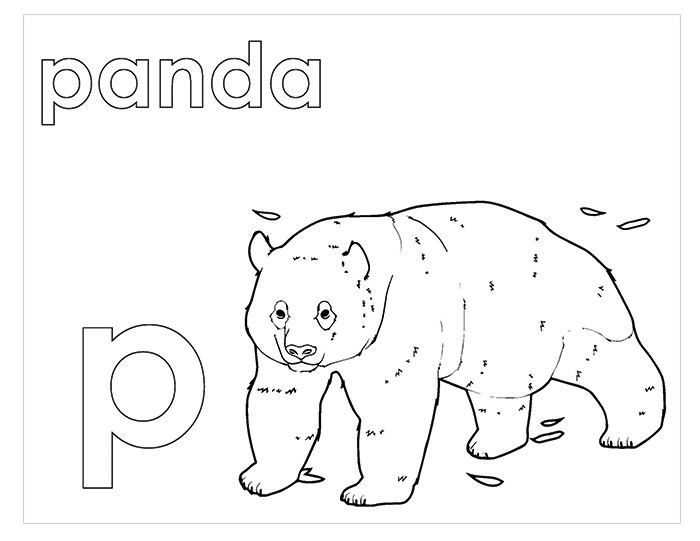 Activity Book