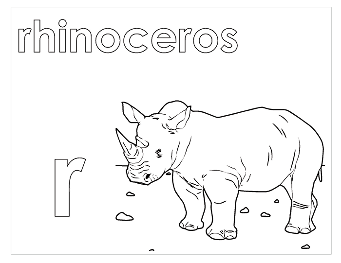 Activity Book
