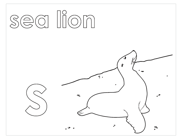 Activity Book