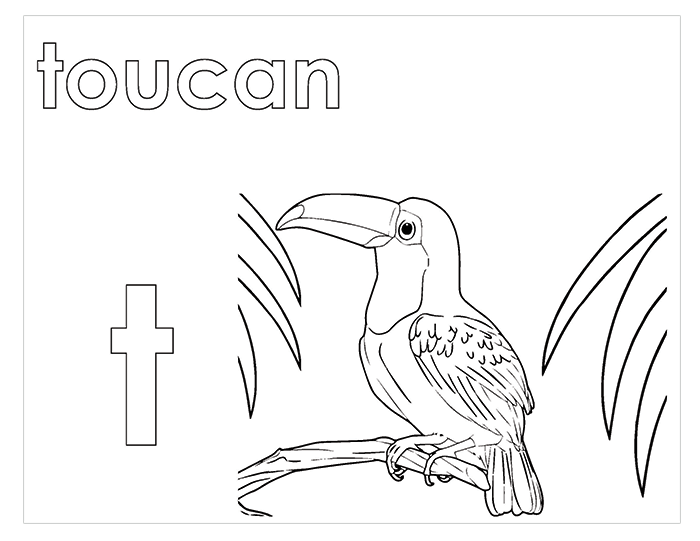 B - Activity Book