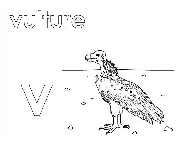  Activity Book