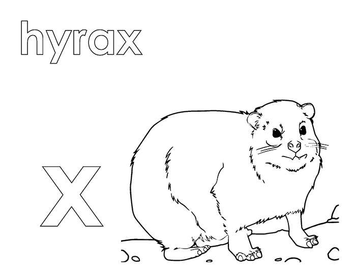 Activity Book