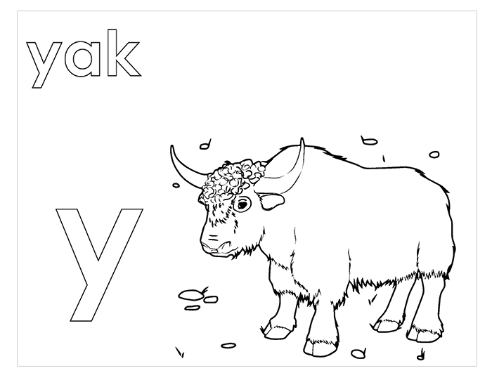 Activity Book