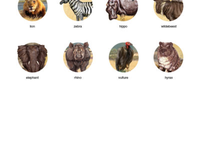 Level 3 Africa Overview