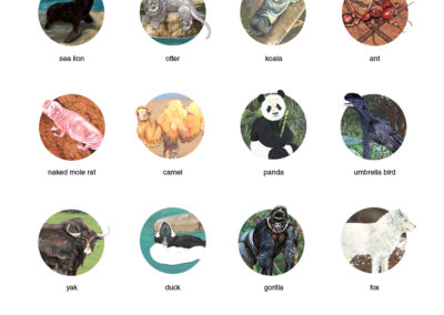 Level 4 World Overview