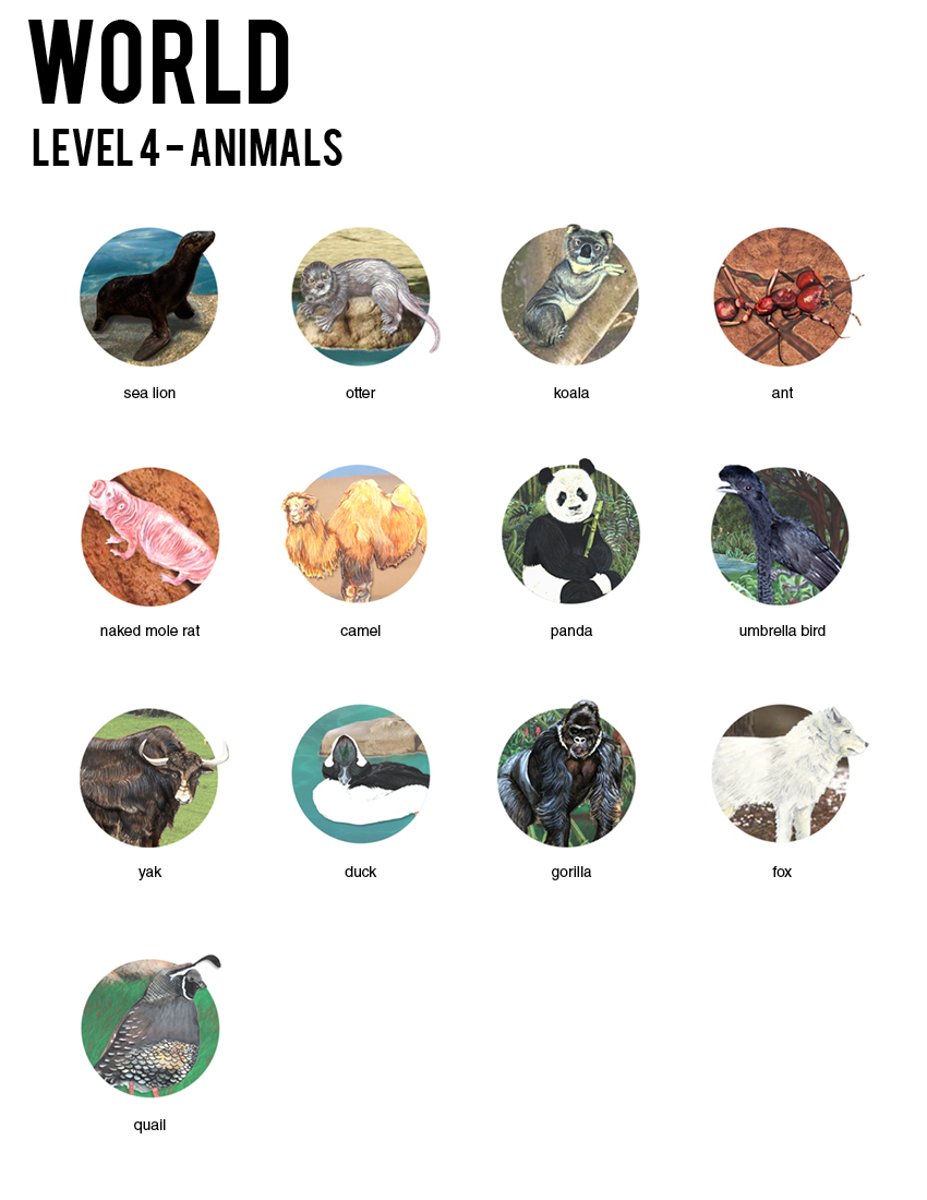 J - Activity Book