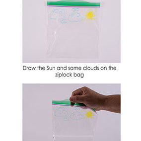 Water Cycle in a Bag