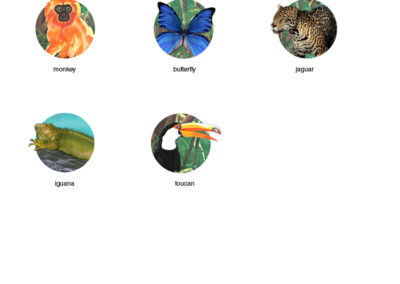 Level 2 Rain Forest Overview